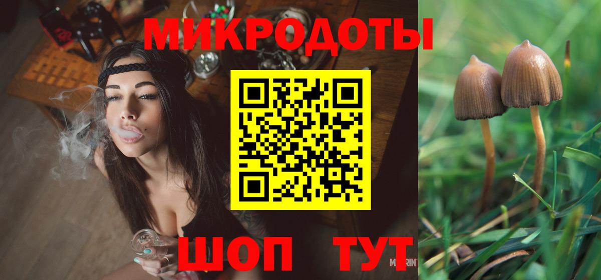 Псилоцибиновые грибы мицелий  Вход с VPN  Амурск 